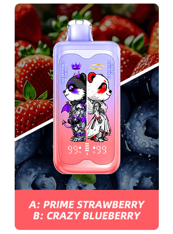 Buy PANDA TWINS PL - Image 3