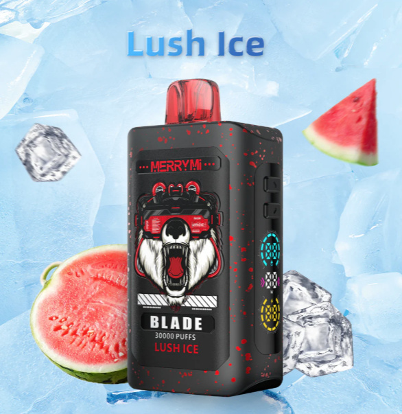 Merry Mi Blade Jednorazowy e-papieros 30000 Buchów o smaku Lush Ice