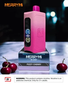 MerryMi models